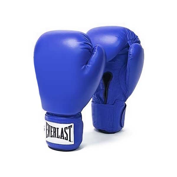 Everlast Boxing Gloves - Valetica Sports