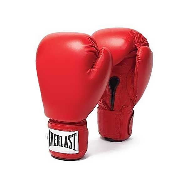 Everlast Red Boxing Gloves - Valetica Sports