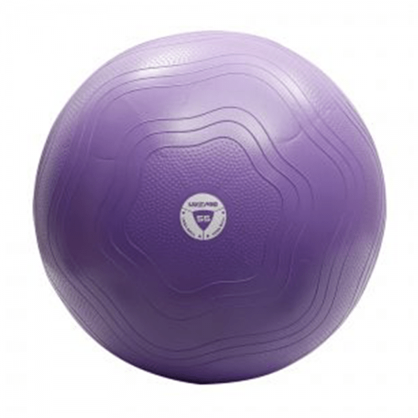 LivePro Anti Burst Core Fit Gym Ball - 55 cm - Valetica Sports