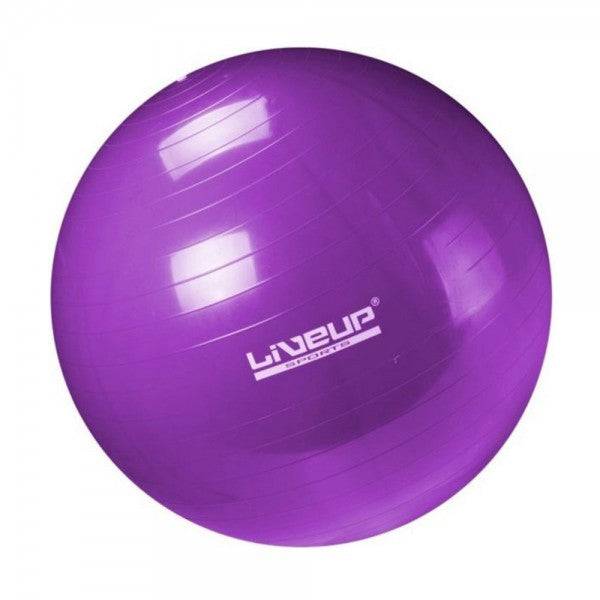 LiveUp Anti Burst Gym Ball - 65 cm - Valetica Sports